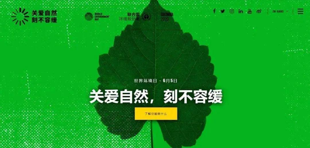 世界環(huán)境日 | 關注農村污水治理 我們是行動者