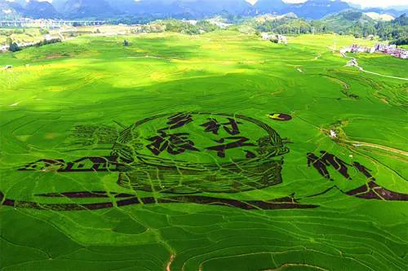 江蘇：關(guān)于加強(qiáng)農(nóng)業(yè)農(nóng)村污染治理促進(jìn)鄉(xiāng)村生態(tài)振興行動計劃