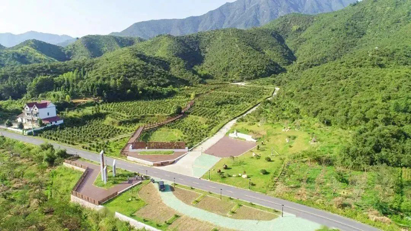 國家級示范，浙江新增4家！