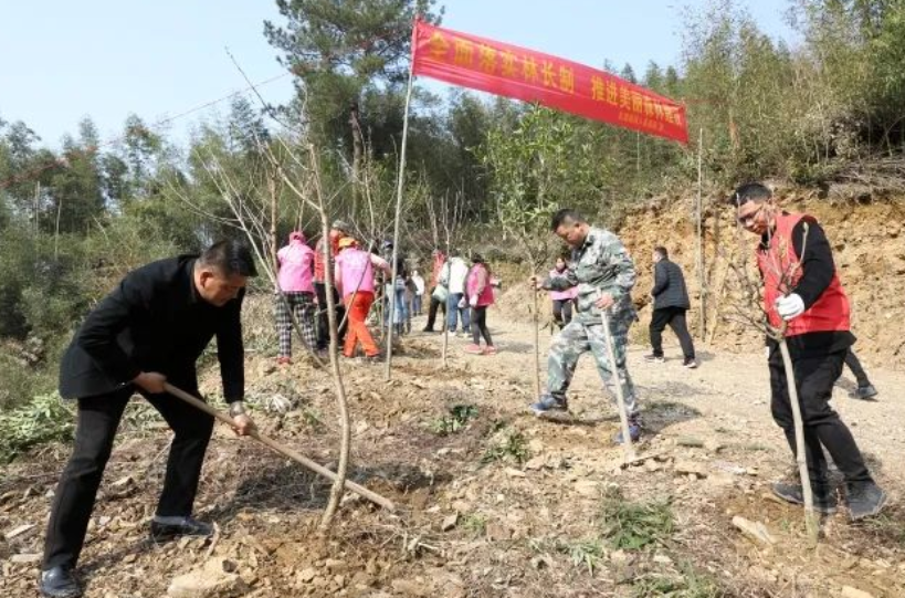 鎮(zhèn)政府向村集體認購森林碳匯抵消機關(guān)碳排放 太湖源鎮(zhèn)創(chuàng)建低碳小鎮(zhèn)又有新“玩”法