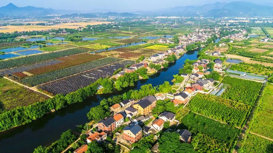 中央農(nóng)辦負責人就《鄉(xiāng)村建設行動實施方案》答記者問