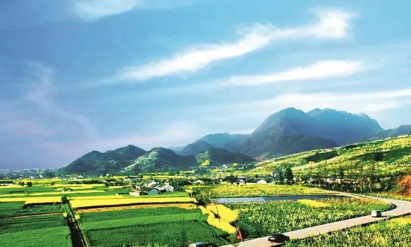 浙江省農(nóng)污系列導則 | 農(nóng)村生活污水綠色處理設施評價導則