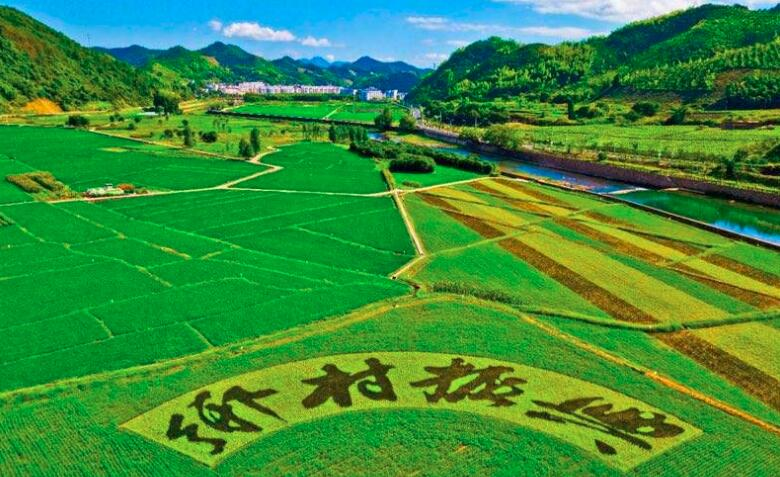 鄉(xiāng)村振興規(guī)劃實施進(jìn)展如何？這場發(fā)布會劃重點：系統(tǒng)治理優(yōu)生態(tài)
