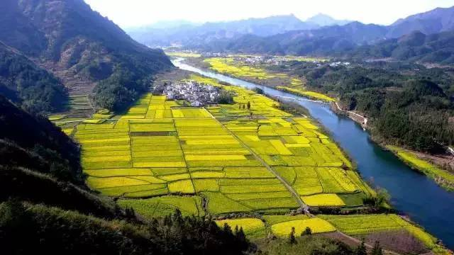 中央經(jīng)濟(jì)工作會(huì)議要求，在落實(shí)碳達(dá)峰碳中和目標(biāo)任務(wù)過程中鍛造新的產(chǎn)業(yè)競(jìng)爭優(yōu)勢(shì)