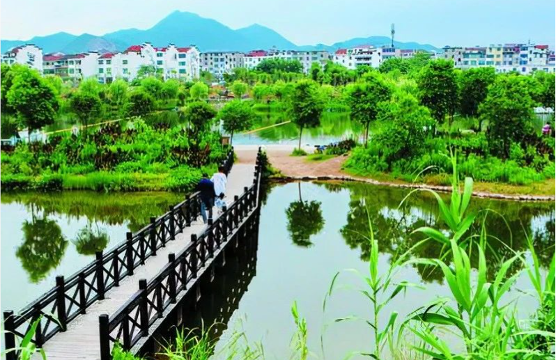 《中國環(huán)境報》頭版頭條：浙江構建降碳、減污、擴綠、增長整體智治體系