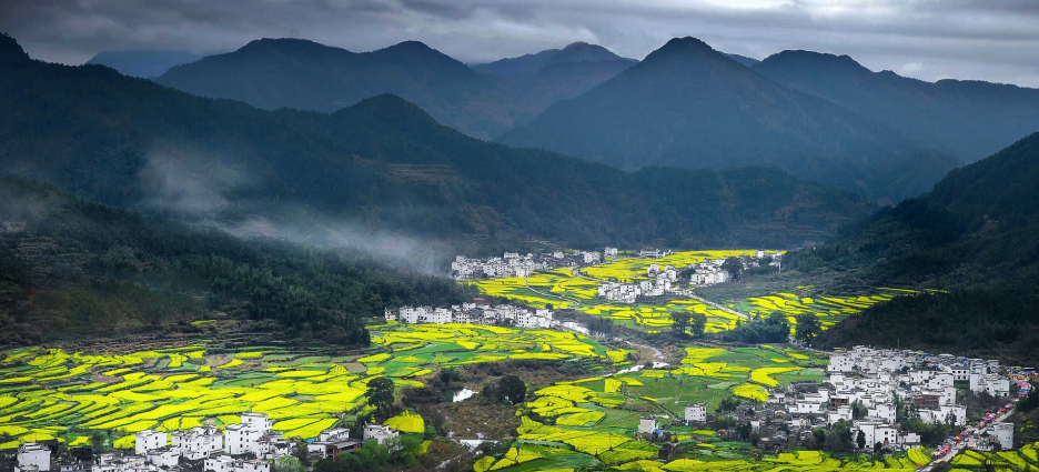 農(nóng)業(yè)農(nóng)村部一號(hào)文件發(fā)布：統(tǒng)籌推進(jìn)農(nóng)村生活污水和垃圾治理！