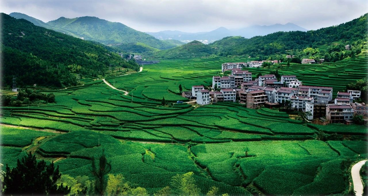 中央財(cái)辦等關(guān)于有力有序有效推廣浙江“千萬(wàn)工程”經(jīng)驗(yàn)的指導(dǎo)意見(jiàn)