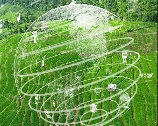 農(nóng)業(yè)碳匯加速入局碳交易，農(nóng)產(chǎn)品固碳價(jià)值“變現(xiàn)”可期