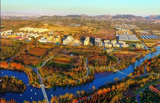 什么是農(nóng)村生活污水全域治理的“青島速度”？