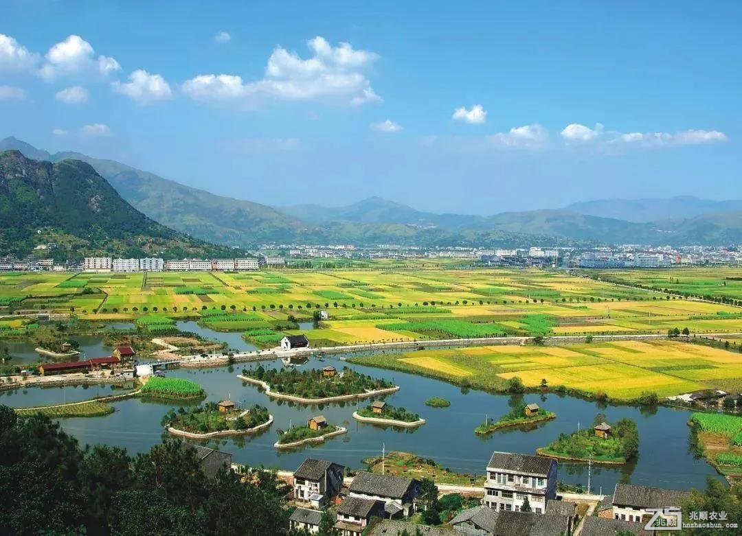 含污水處理項目、農業(yè)林業(yè)領域，優(yōu)先選擇民營企業(yè)參與，《關于規(guī)范實施政府和社會資本合作新機制的指導意見》發(fā)布