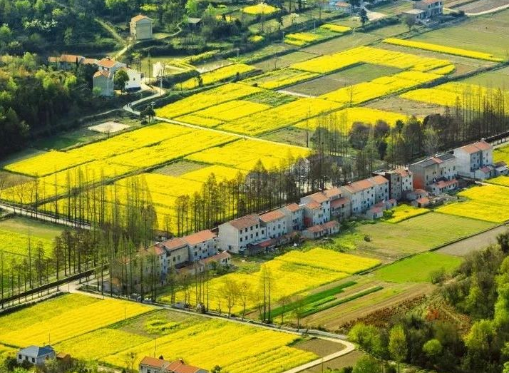 2025年治理率達(dá)到65.76%以上，武漢市農(nóng)村生活污水治理三年行動實(shí)施方案發(fā)布