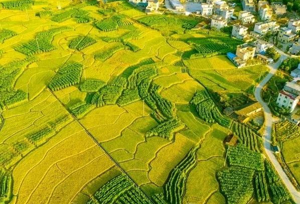 農(nóng)村污水處理：不同省份如何因地制宜？