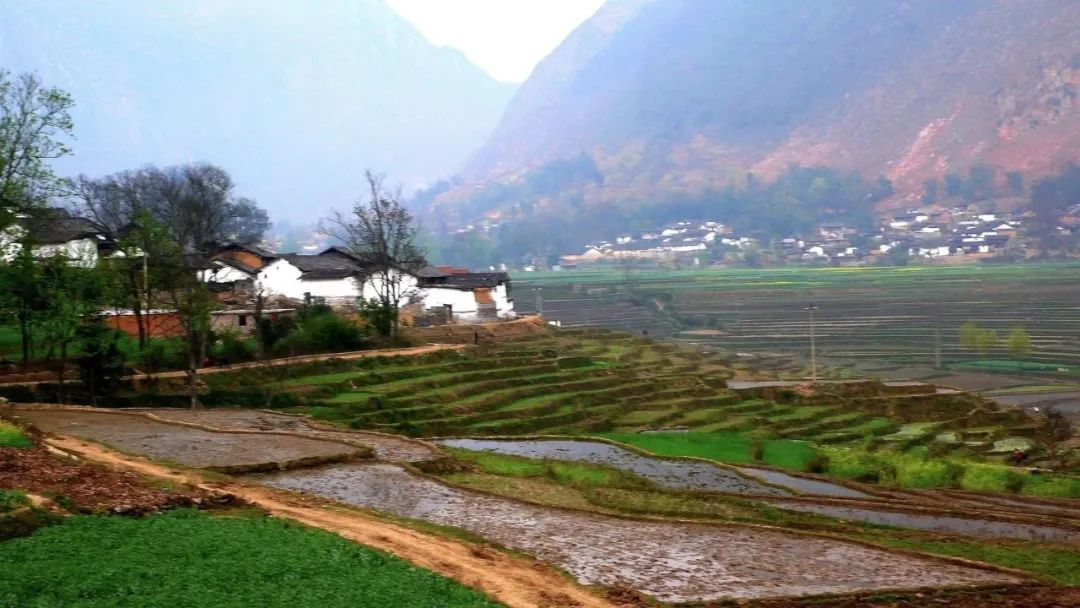 濟(jì)寧：農(nóng)村污水治理全域統(tǒng)籌，提升治理水平