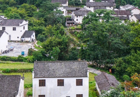 安徽六安市生態(tài)環(huán)境局發(fā)布《2024年六安市土壤、地下水污染防治和農(nóng)村生態(tài)環(huán)境保護(hù)工作要點(diǎn)》！