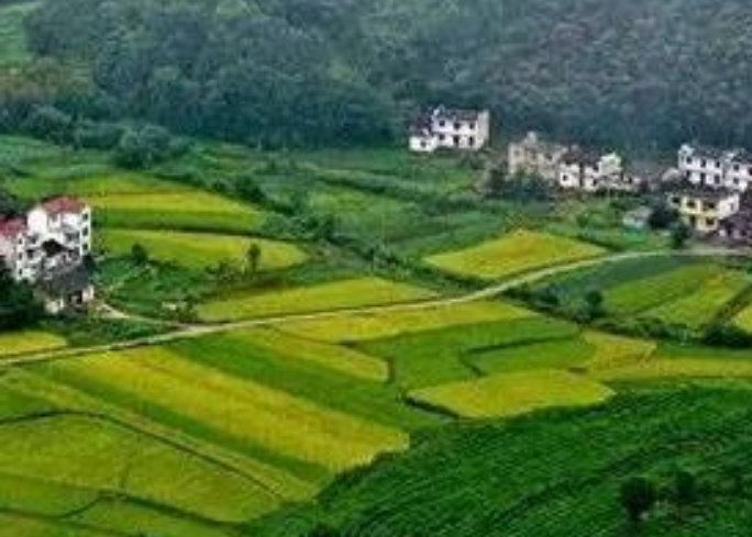 年安排3億元！福建加快推進農(nóng)村生活污水提升治理！