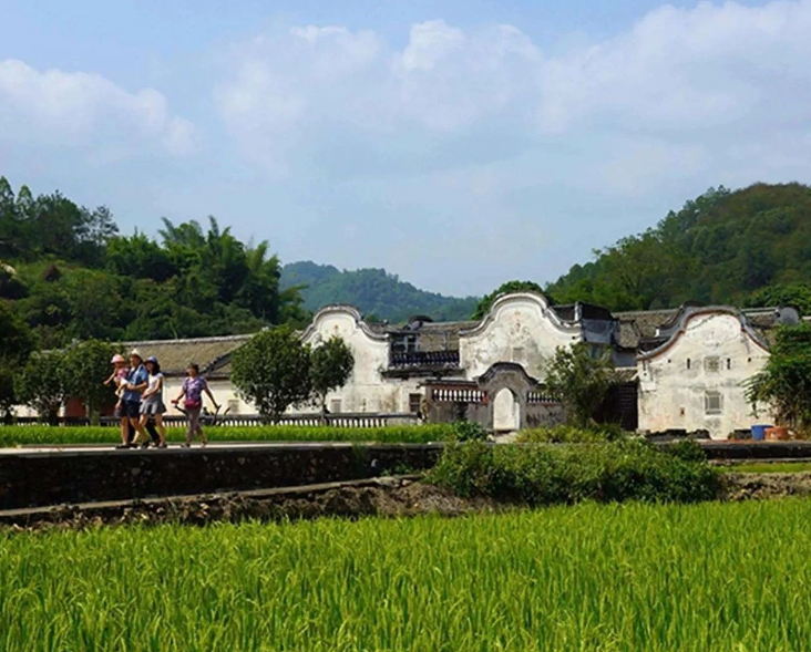 農(nóng)業(yè)農(nóng)村部召開常務(wù)會 研究部署推進(jìn)幫扶產(chǎn)業(yè)高質(zhì)量發(fā)展和智慧農(nóng)業(yè)發(fā)展等工作