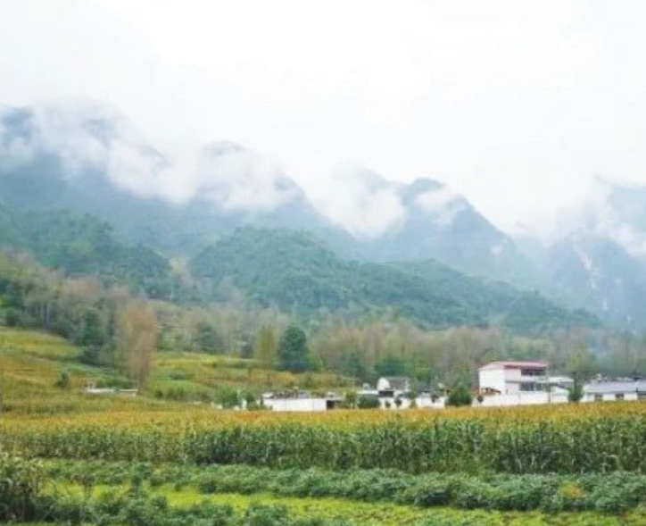 甘肅?。恨r(nóng)村生活污水治理（管控）率達(dá)到29.47%以上