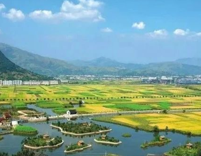 山東印發(fā)實施意見，大力發(fā)展現(xiàn)代設(shè)施農(nóng)業(yè)